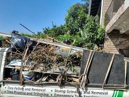 Best Demolition Debris Removal  in Beverly Hills, MI